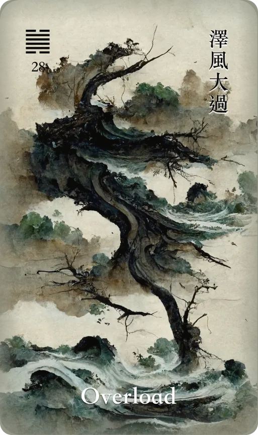 泽风大过