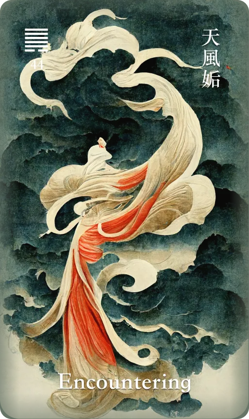天风姤